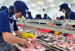 Xuất khẩu sang Hoa Kỳ: DN sẽ gặp nhiều khó khăn